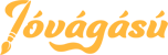 Netfort webshop logo