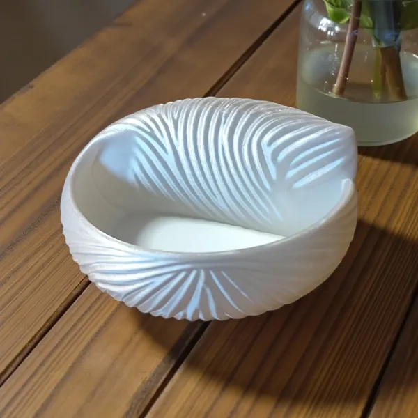 Seashell-Bowl (29) Seashell-Bowl (29)