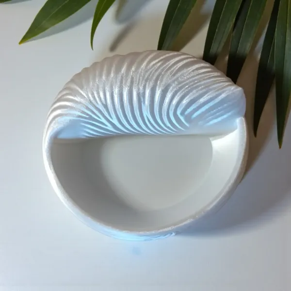 Seashell-Bowl (4) Seashell-Bowl (4)