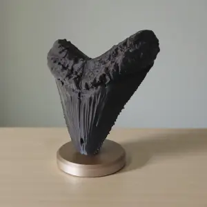 mega1