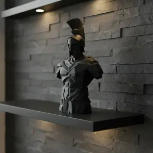 SpartanWarrior (5)